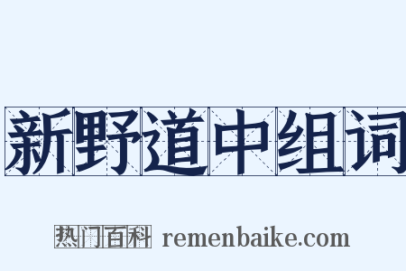 新野道中组词是什么意思的图片